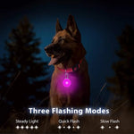 Usb Charging Glowing Dog Collar with Pendant Detachable Luxury Led Light Bright for Small Dogs Cat Night Safety Collar Wholesale