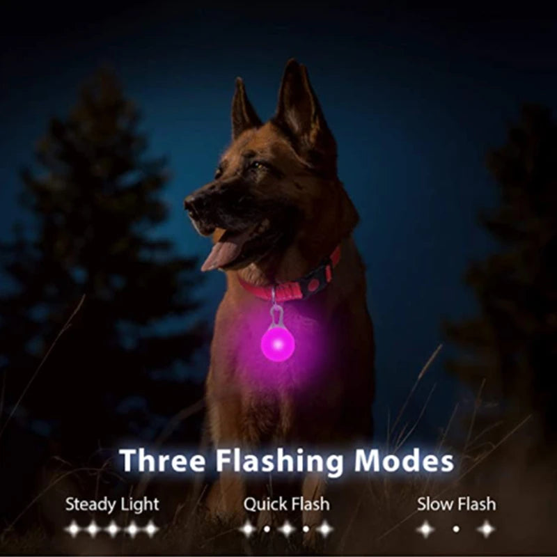 Usb Charging Glowing Dog Collar with Pendant Detachable Luxury Led Light Bright for Small Dogs Cat Night Safety Collar Wholesale
