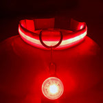 Usb Charging Glowing Dog Collar with Pendant Detachable Luxury Led Light Bright for Small Dogs Cat Night Safety Collar Wholesale
