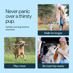 Insulated Dog Water Bottle - 24 Oz Blue, Stainless Steel