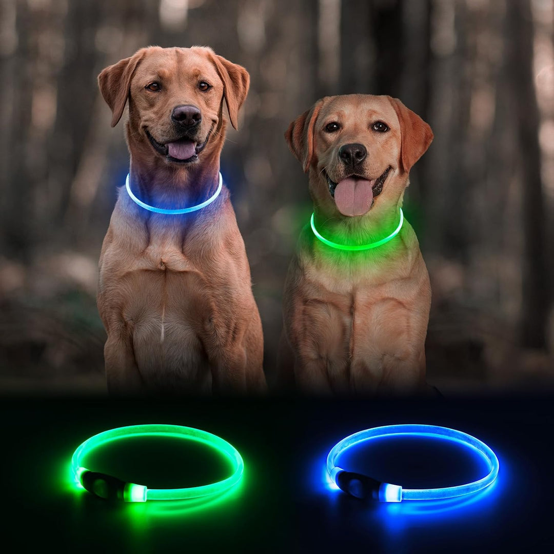 Rechargeable LED Dog Collar