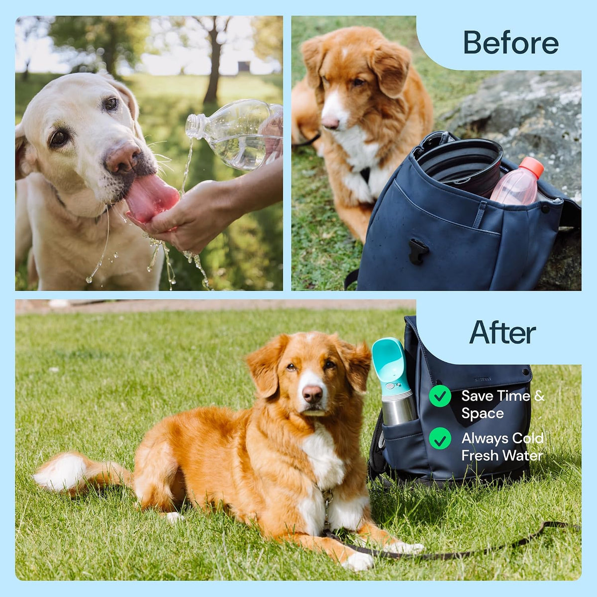 Insulated Dog Water Bottle - 24 Oz Blue, Stainless Steel