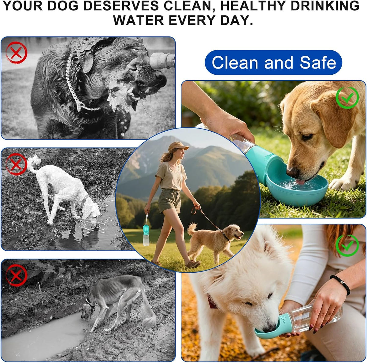 Portable Dog Water Bottle