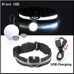 Usb Charging Glowing Dog Collar with Pendant Detachable Luxury Led Light Bright for Small Dogs Cat Night Safety Collar Wholesale