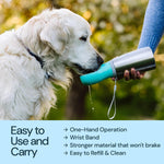 Insulated Dog Water Bottle - 24 Oz Blue, Stainless Steel