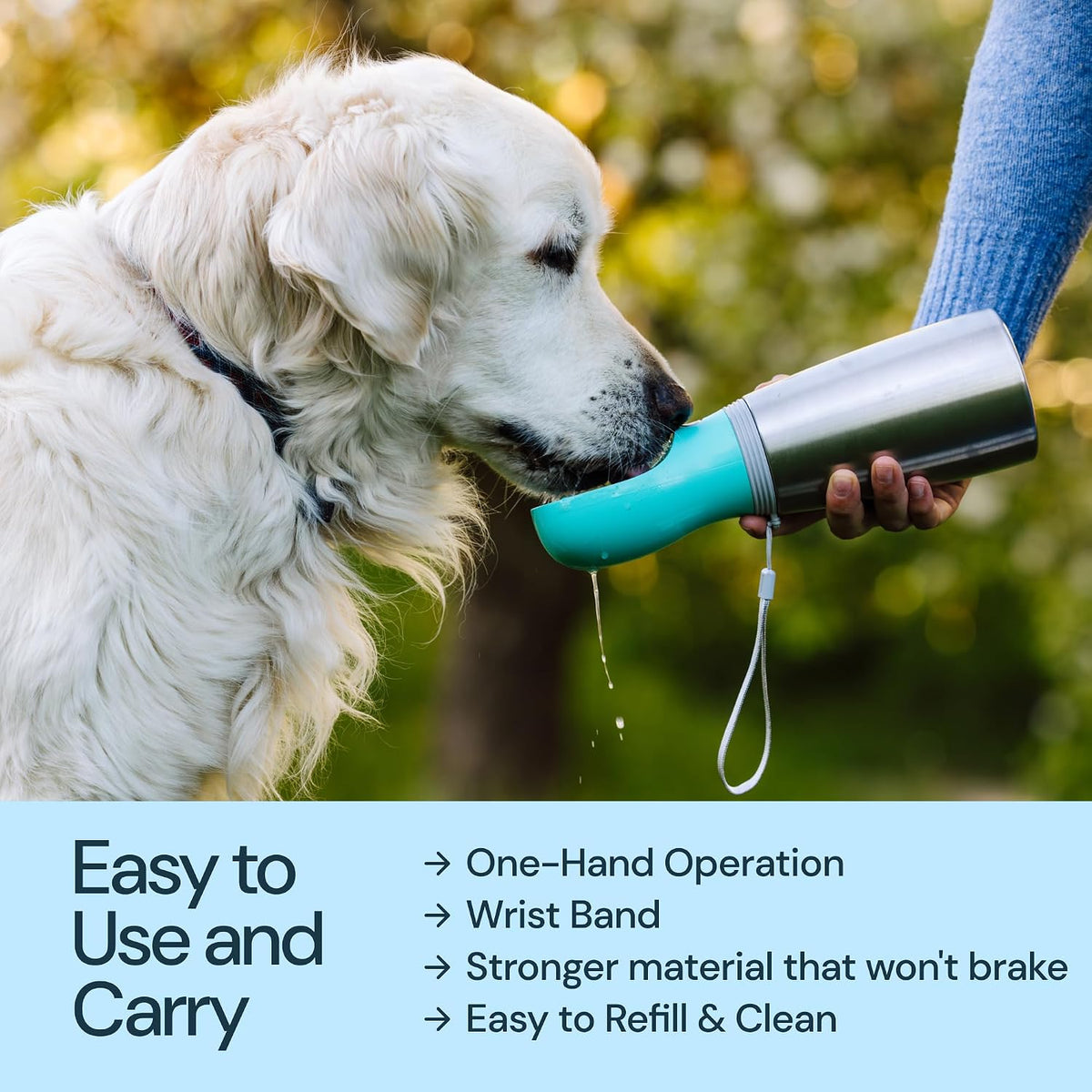 Insulated Dog Water Bottle - 24 Oz Blue, Stainless Steel