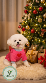Small white dog in the pink heart sweater by a Christmas tree