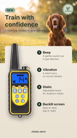 Training remote with beep, vibration and backlit screen