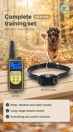 Dog training remote and receiver collar set on a wooden bench